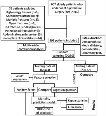 A New Random Forest Algorithm-Based Prediction Model of Post-operative Mortality in Geriatric Patients With Hip Fractures